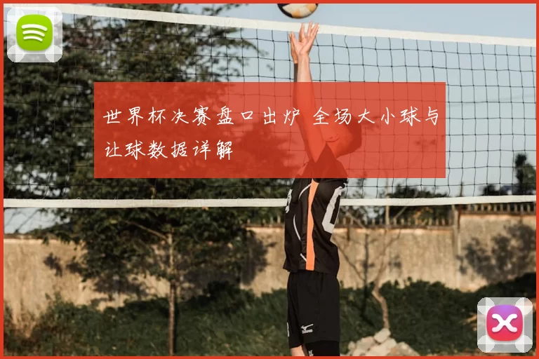 世界杯决赛盘口出炉 全场大小球与让球数据详解