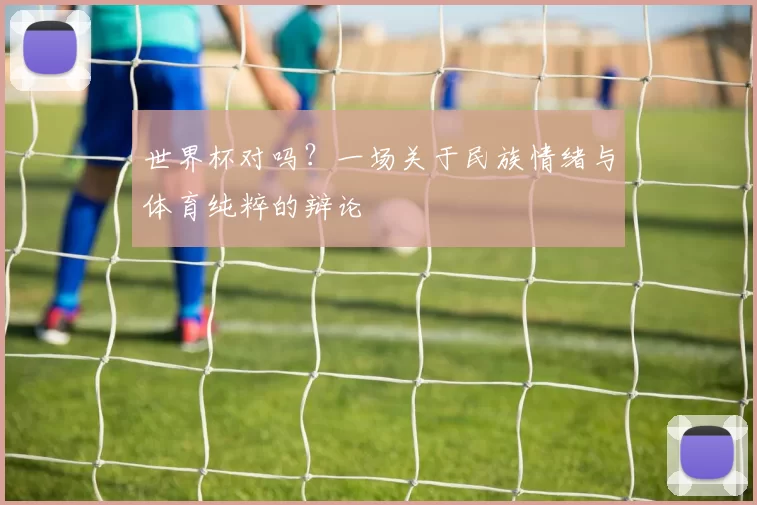世界杯对吗?一场关于民族情绪与体育纯粹的辩论