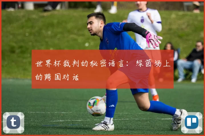 世界杯裁判的秘密语言:绿茵场上的跨国对话