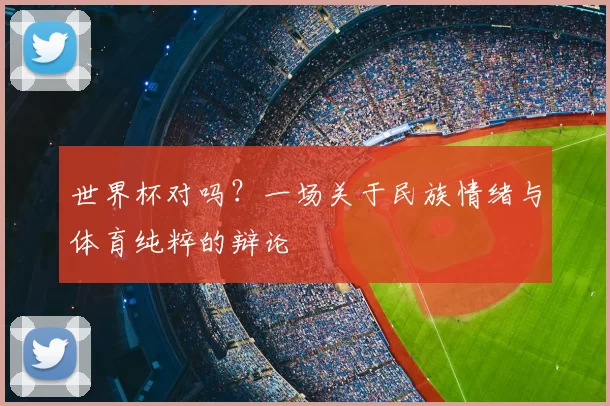 世界杯对吗?一场关于民族情绪与体育纯粹的辩论