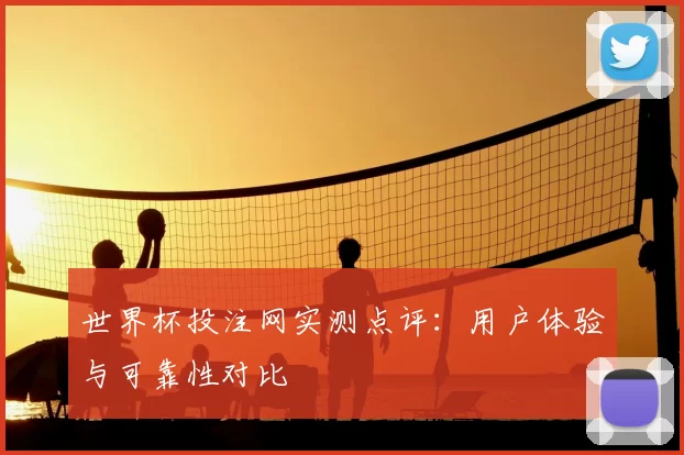 世界杯投注网实测点评:用户体验与可靠性对比