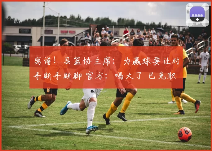 离谱！县篮协主席：为赢球要让对手断手断脚 官方：喝大了 已免职