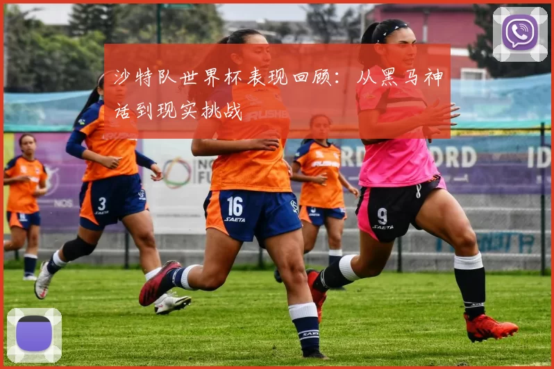 沙特队世界杯表现回顾:从黑马神话到现实挑战
