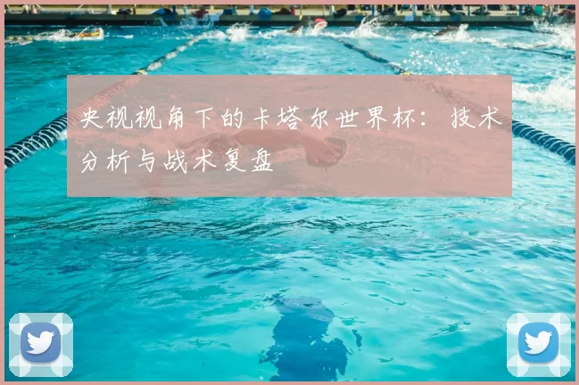 央视视角下的卡塔尔世界杯:技术分析与战术复盘