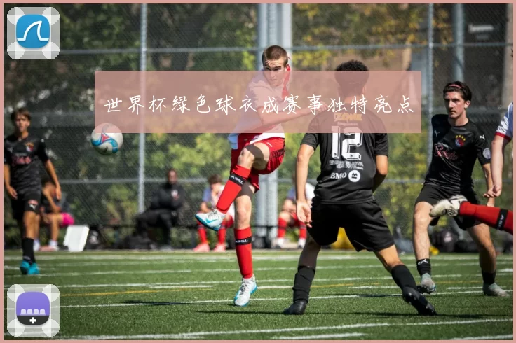 世界杯绿色球衣成赛事独特亮点