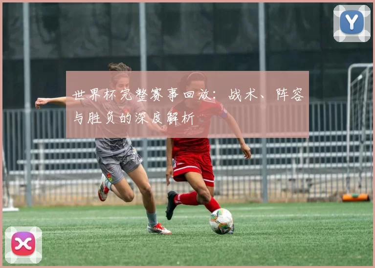 世界杯完整赛事回放：战术、阵容与胜负的深度解析