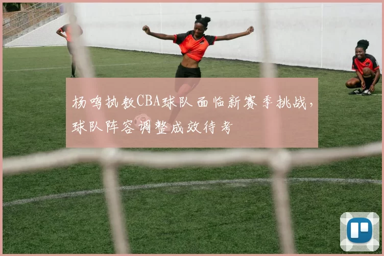 杨鸣执教CBA球队面临新赛季挑战，球队阵容调整成效待考